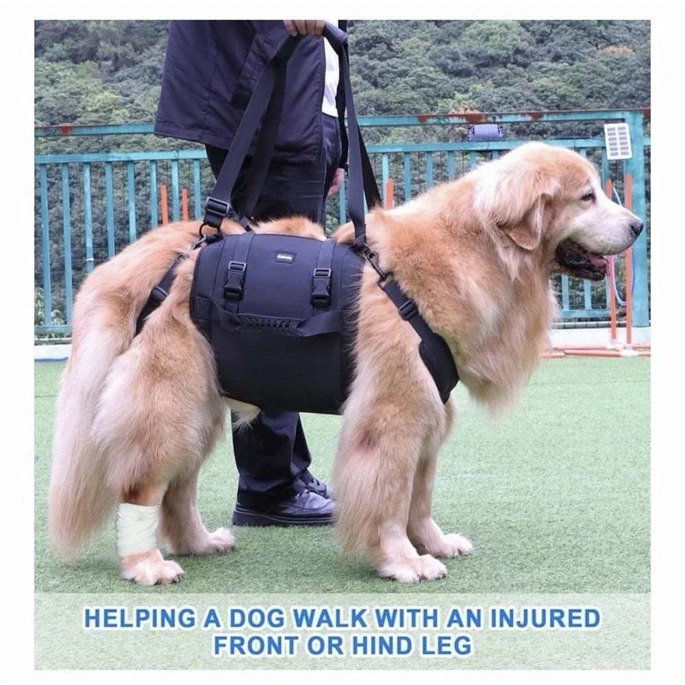 Dog Carry Sling, Emergency Backpack Pet Legs Support Rehabilitation Dog Lift XXL
